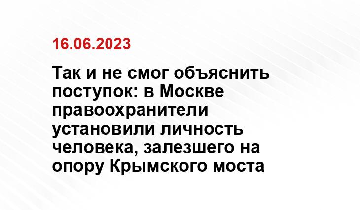 Так и не смог объяснить поступок: в Москве правоохранители установили личность человека, залезшего на опору Крымского моста