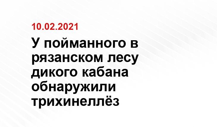 shoppingator.ru
