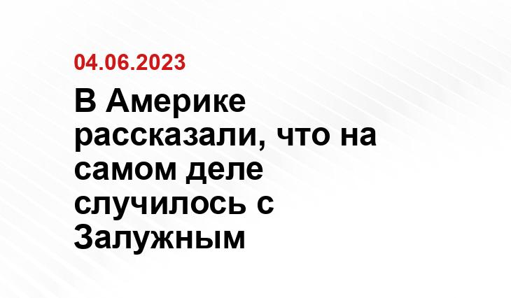 В Америке рассказали, что на самом деле случилось с Залужным