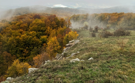 На крымских землях будут организованы два государственных заказника