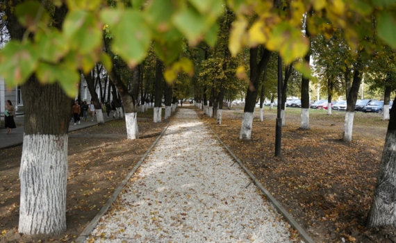 Что можно и нельзя 5 ноября в День Якова: не делать резких движений, заговорить урожай и молитва Что можно и нельзя 5 ноября в День Якова: не делать резких движений, заговорить урожай и молитва