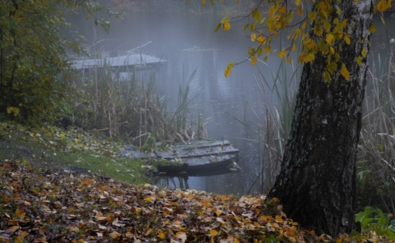 Слияние Марса и Плутона 6 ноября 2025 года — точка трансформации жизни трёх знаков зодиака